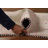 Tribal Gabbeh Indian Rug 4x6