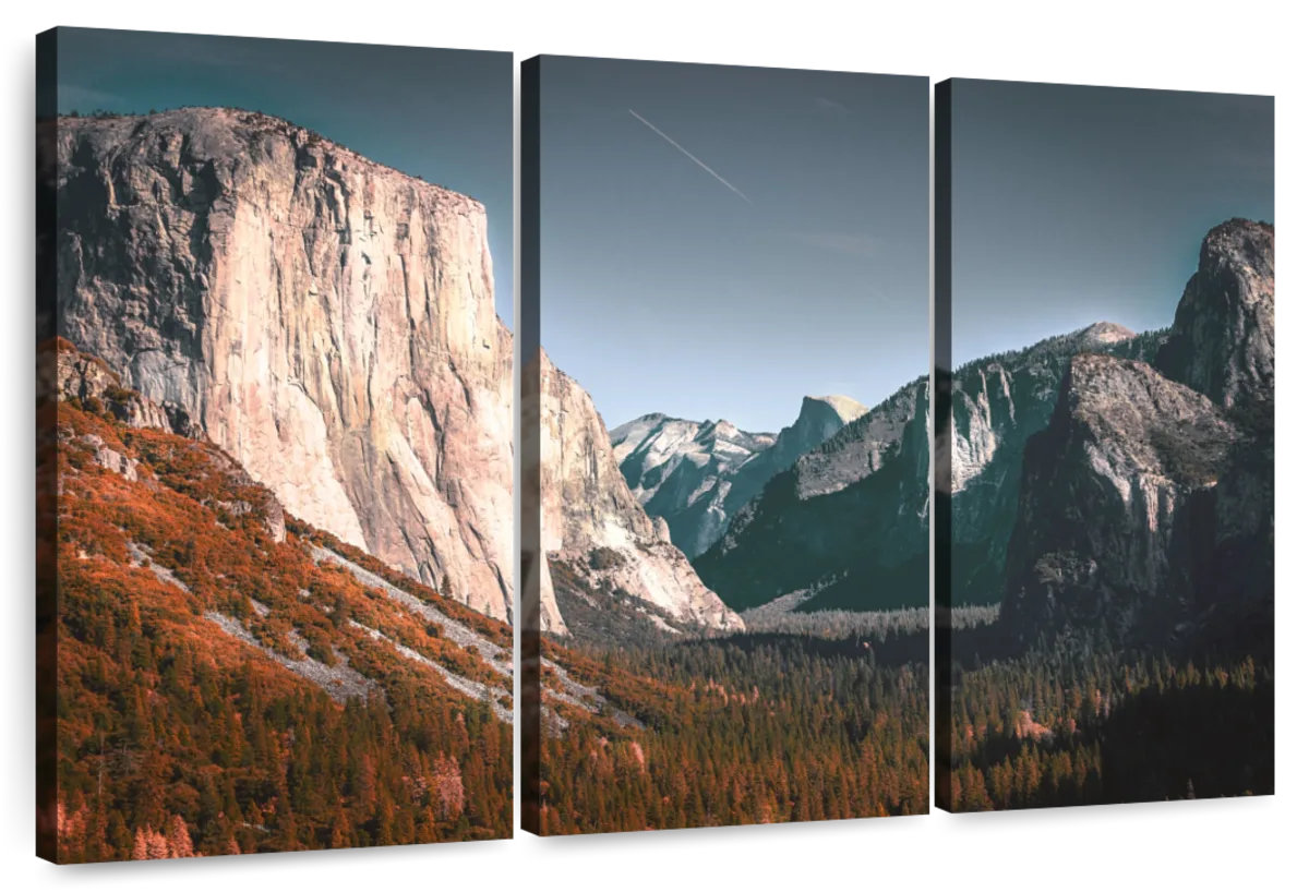 Millwood Pines Alvord Captivating Landscape | Wayfair