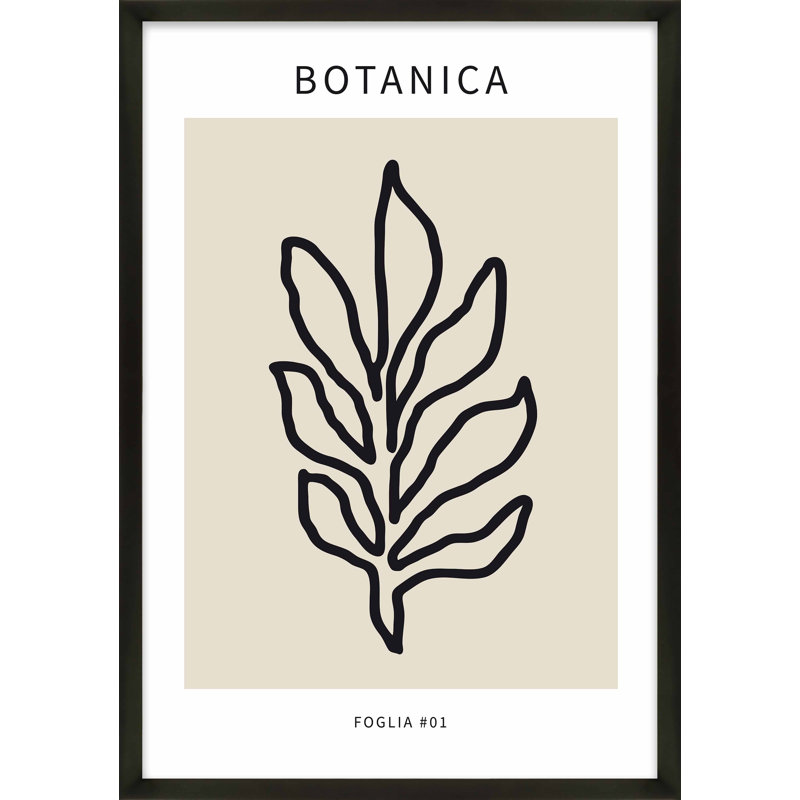 Foglia Botanica 3 Print by Romina Gadler, Black Framed Paper, 20" H x 14" W x 1.25" D