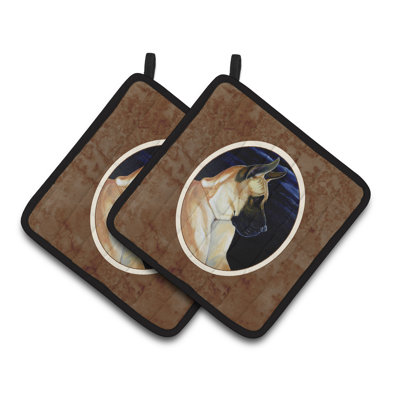Red Barrel Studio Polyester Potholder