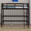 Lit mezzanine en bois avec échelle-1035091649