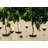 Cabernet 57.5oz. Glass Carafe