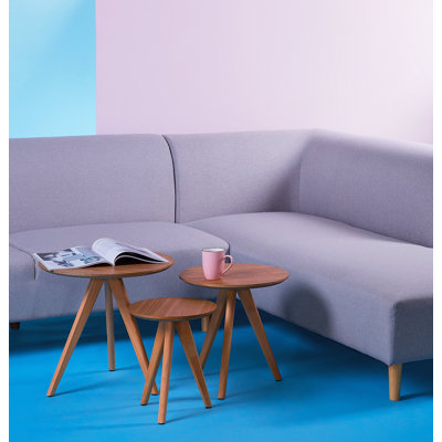 Broken Hill 3 Piece Nest of Tables