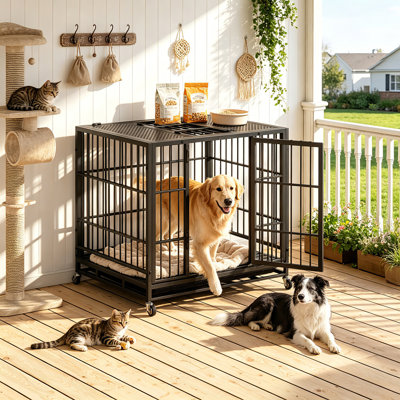 Cage de transport robuste pour chien, en métal, pour intérieur et extérieur, avec roues verrouillables, loquet rotatif et dessus perforé.