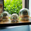 Battery Operated Integrated LED Outdoor Floating Light-97882553