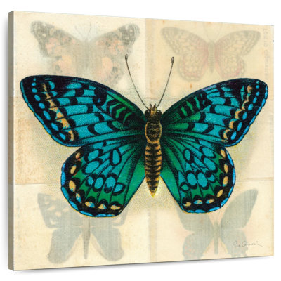 Papillon en soie Crowle II