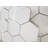 Bianco Dolomite 4" Hexagon Matte