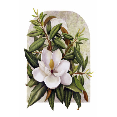 Magnolia Vignette - Wrapped Canvas Print
