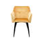 Almasi Tufted Velvet Armchair-1708024411