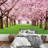 Peel & Stick Clear Border-88770044