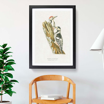 White-Backed Woodpeckers by Von Wright - Framed Print