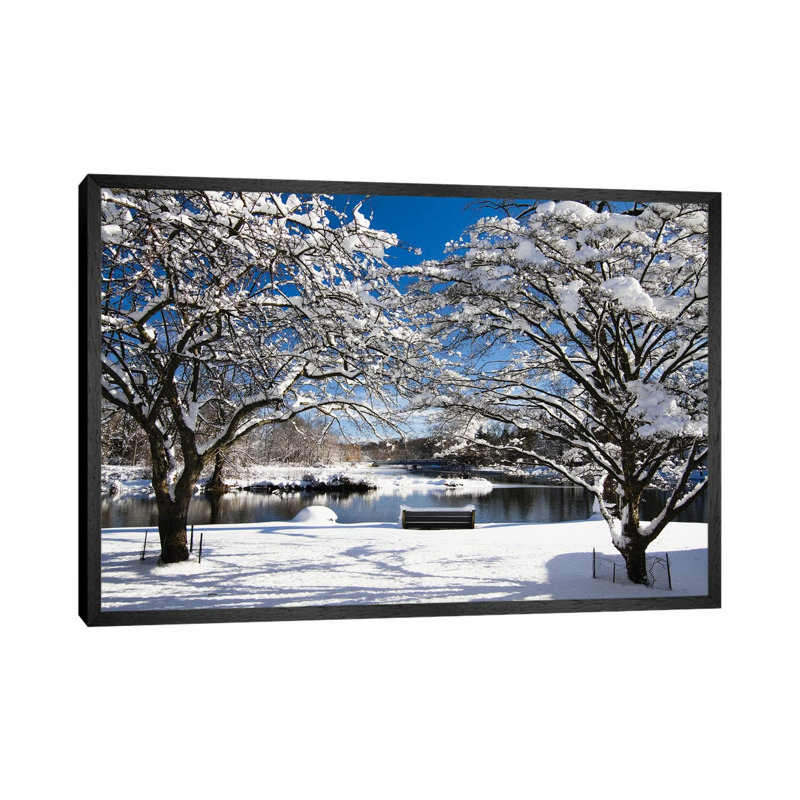 Snow Covered Trees, Winter Scenic, South Branch Of Raritan River, Clinton, New Jersey by George Oze - Gallery-Wrapped Canvas Giclée on Canvas