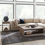 2 - Piece Coffee Table Set