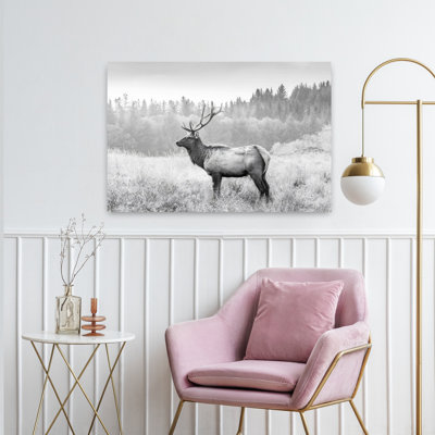 Art mural contemporain American Elk