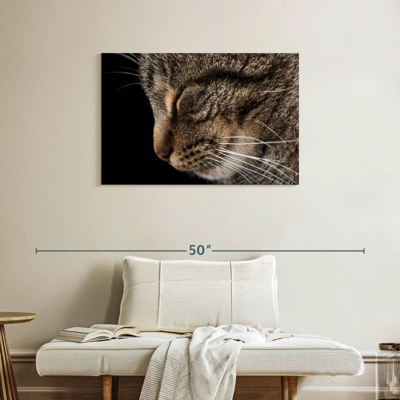 Brampt Sleeping Tabby Cat, 24" H x 36" W
