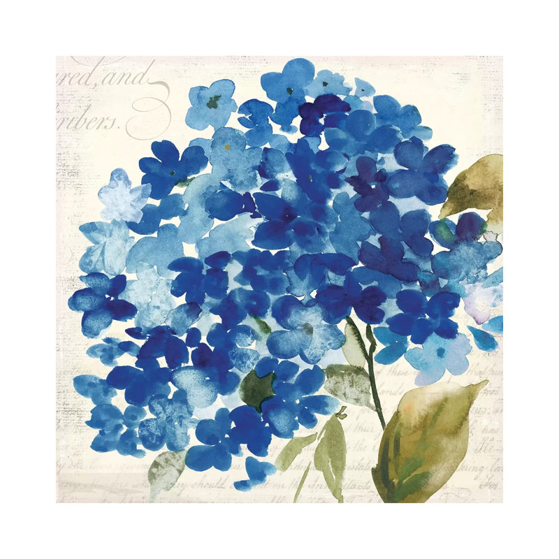 Hampton Hydrangea II by Asia Jensen - Wrapped Canvas Panoramic Painting, 45.72 cm H x 45.72 cm W x 3.175 cm D