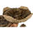 Counts 100cm H Cat Tree