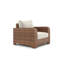 Nico Outdoor Lounge Chair