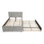 Lit simple Hund Trundle-130076205-130076203