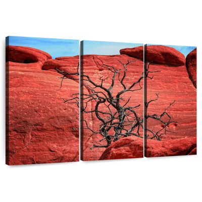 Arbre mort Harnek par Red Rocks