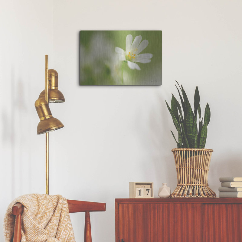 «Stellaria Holostea» par Martin Podt, H 16 po x l 24 po