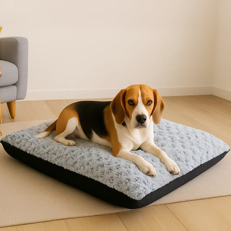 Orthopedic Polyester Pet Bed, 20cm H x 20cm W x 50cm D