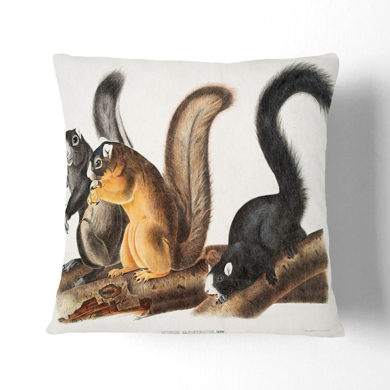 Square Throw Cushion, 40cm H x 40cm W x 15cm D