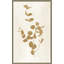 Botanical Study II Gold Crop - peinture-487795575-487795576