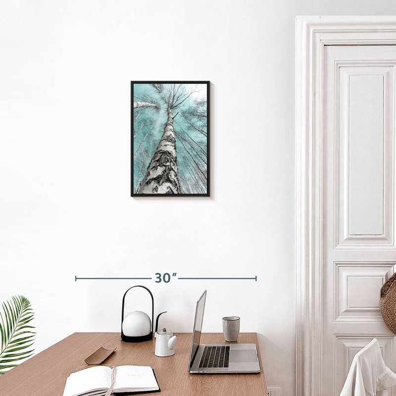 Bouleaux imposants, 13 po x 19 po, Cadre flottant noir