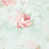 Bleu sarcelle / rose