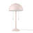 Ailaigh Table Lamp