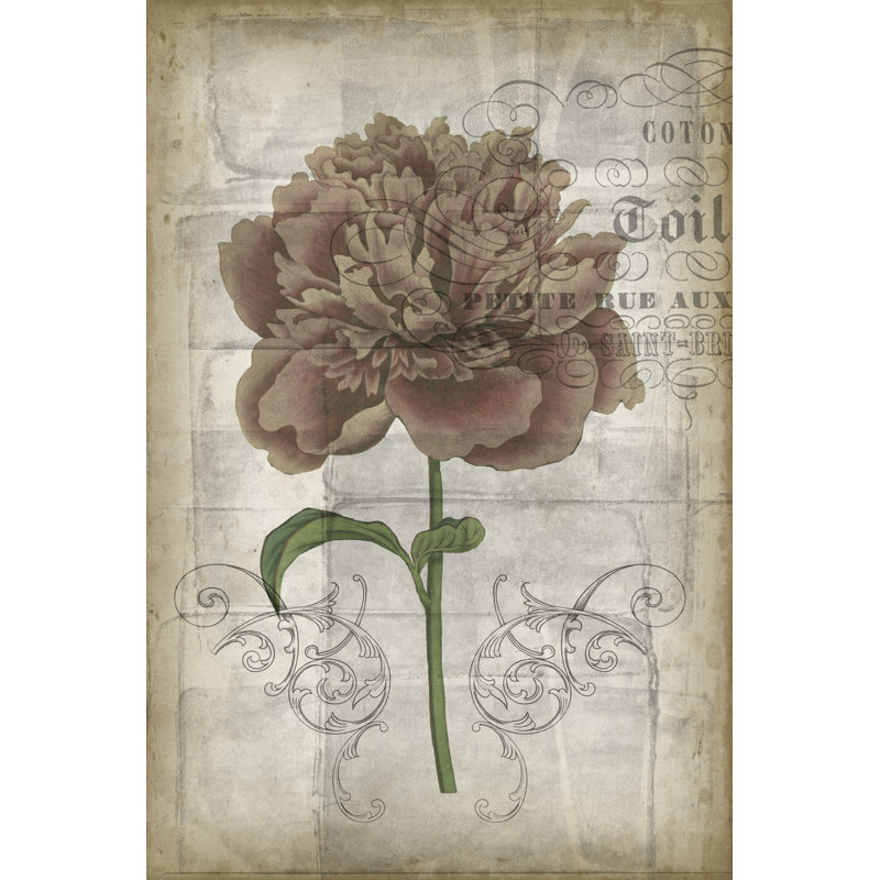 French Floral IV by Jennifer Goldberger - Wrapped Canvas Print, 46cm H x 30cm W