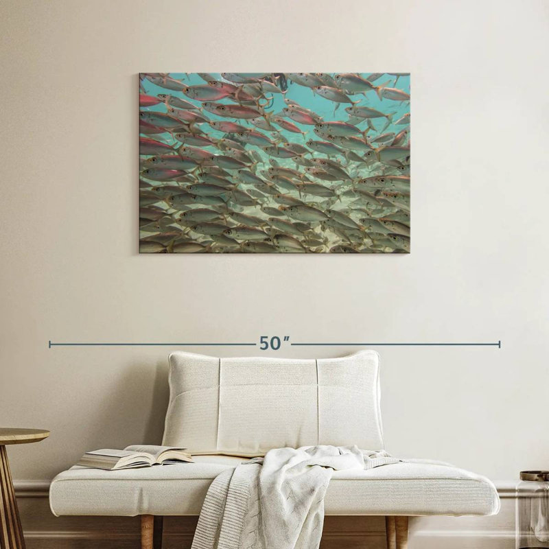 Crowle sous les poissons tropicaux, H 24 po x l 36 po