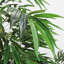 Arbre de saule artificiel 7 pi pour la décoration d'intérieur de maison, d'appartement ou de bureau