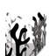 Mediterraneo Napkin Holder-3286117