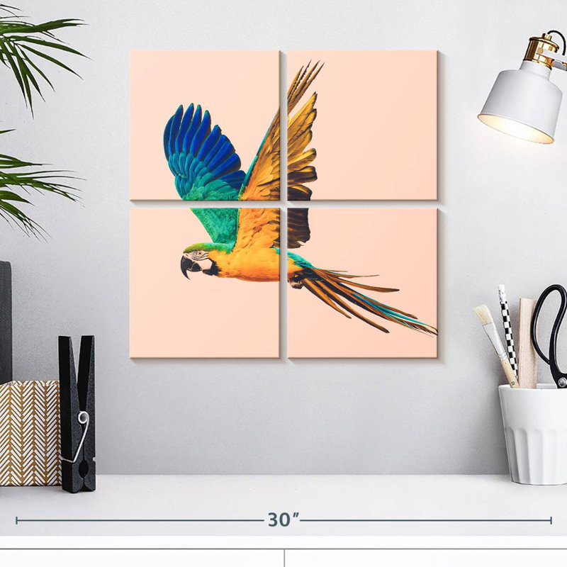 Brampt Macaw Parrot Flying, 18'' H x 18'' W