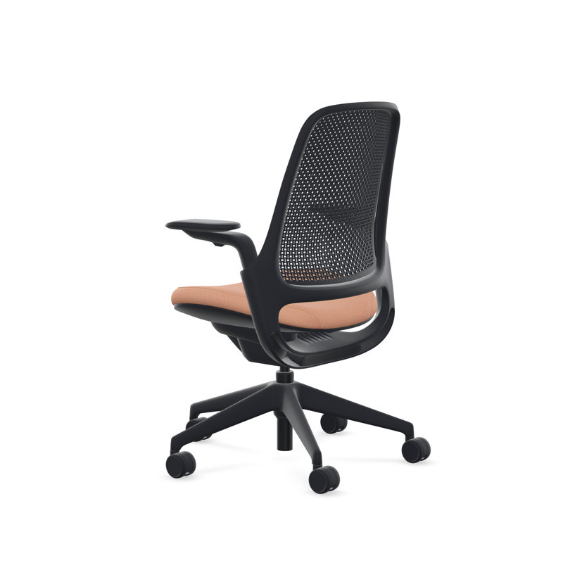 Steelcase Series 1 Air, Persimmon, Black, Carpet