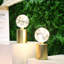 Dominquez 2 Set of 21cm Gold Table Lamp Battery Powered