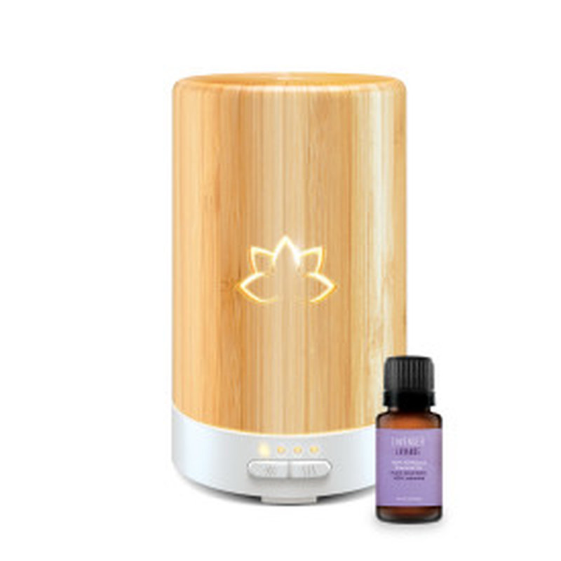 Aromatherapy Plug In