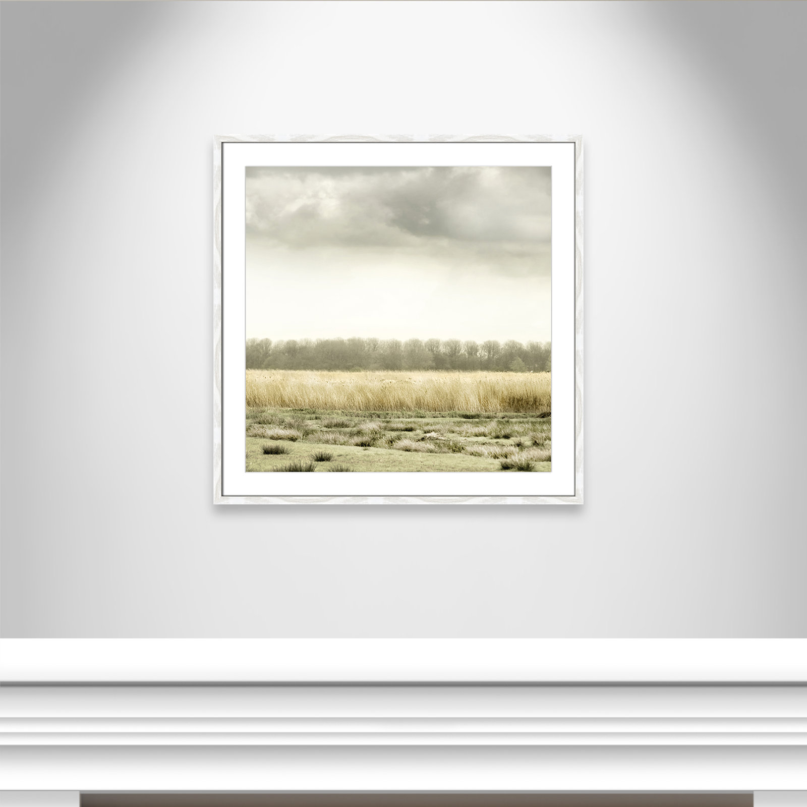 Henri "Meadowland" Print by Danita Delimont, 33" H x 33" W, White Wood Grain
