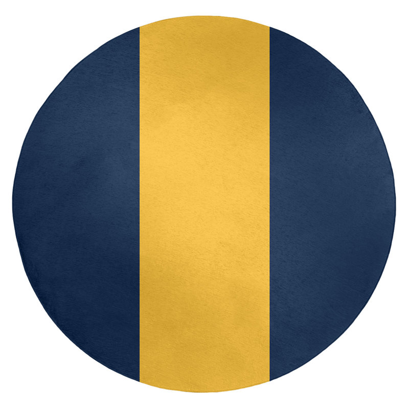 Tapis bleu à rayures NHS National Hockey, Rond 5 pi