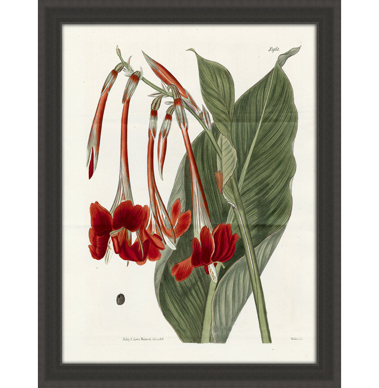 Large Red Botanical I Print