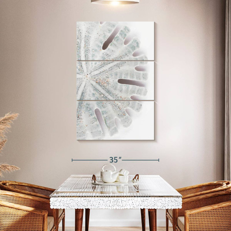 Brampt Florida Sand Dollar I, 50" H x 32" W