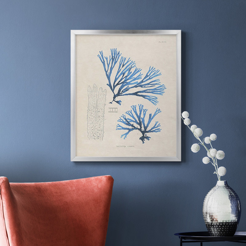 «Blue Marine Algae V», toile encadrée de qualité supérieure - prête à être accrochée, Argent, H 20 po x l 16 po