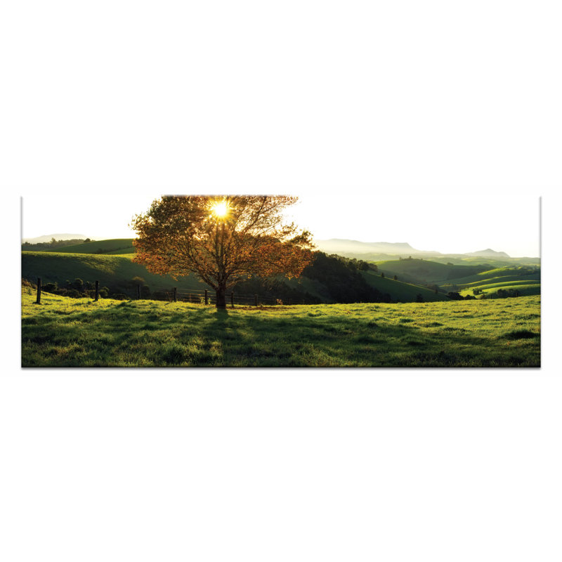 Green And Gold by Andrew Brown - Wrapped Canvas Print
