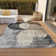Machine Washable Indoor/Outdoor Cicel ACN1140 Pewter Rug