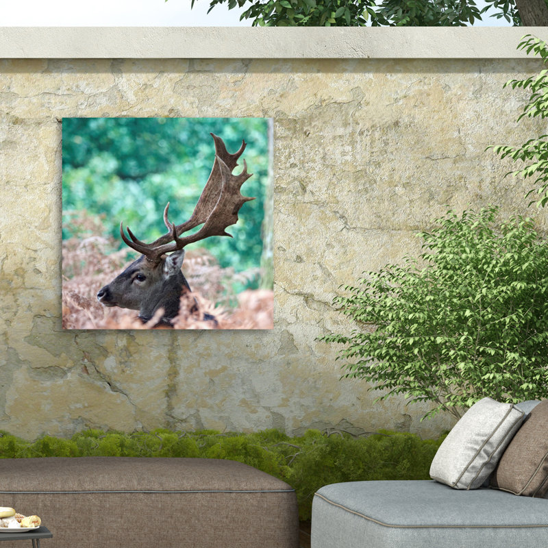 Debmercury   Fallow Stag Deer. Outdoor  Canvas, H 14 po x l 14 po