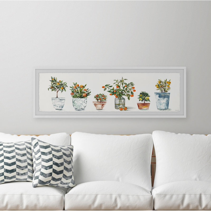 My Favorite Fruit Trees' - Picture Frame Panoramic Print on Paper, H 10 po x l 30 po