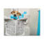 Jack Russell Terrier-1957038398