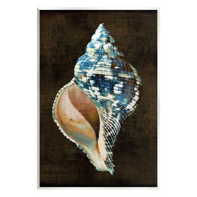 Reproduction sur bois de conque à motif foncé Bb-353 par Caroline Kelly